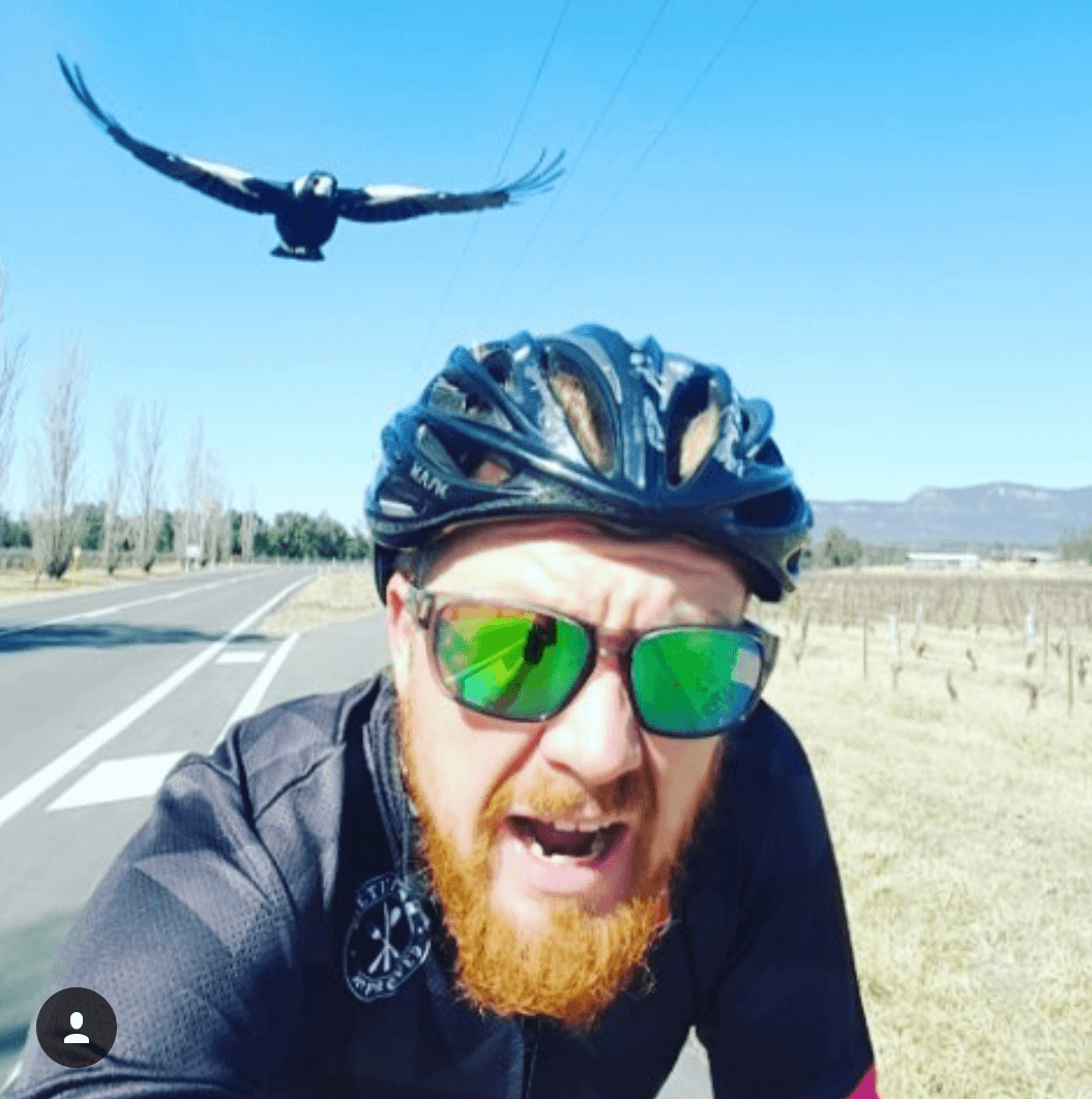 @burkeys_life showing us what its like to be picked on by a swooping magpie